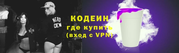 хмурый Россошь