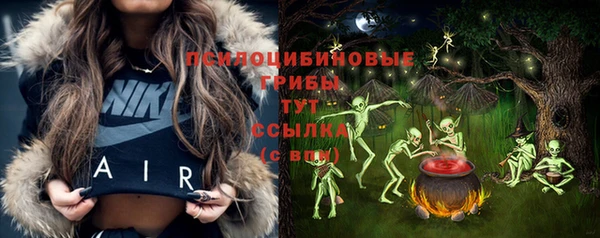 герыч Сатка