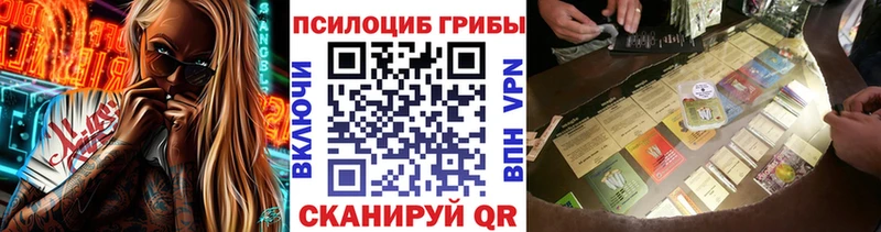 дарнет шоп  Бородино  Псилоцибиновые грибы Psilocybine cubensis 